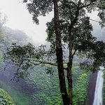 img 07 free img 150x150.jpg