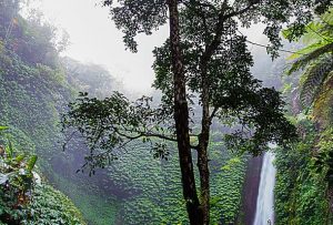 img 07 free img 300x203.jpg