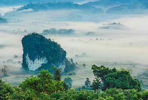 img 08 free img 300x203.jpg